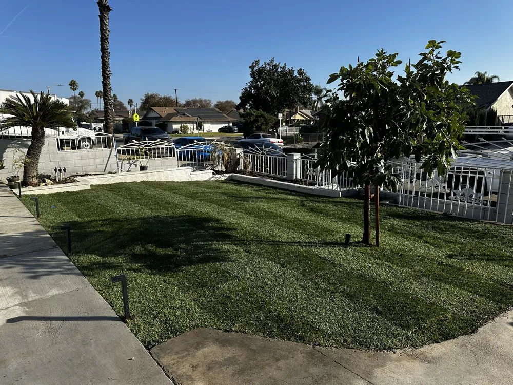 Affordable yard maintenance in Pomona, CA - Almazan’s landscape