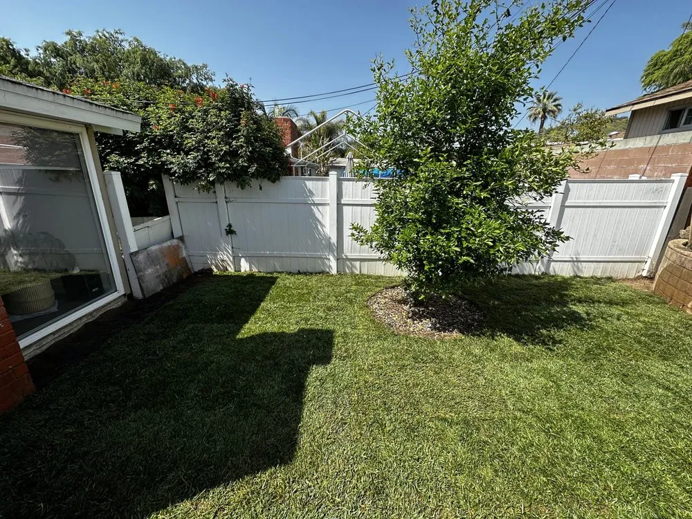 Top-rated yard cleanup service in Pomona, CA by Almazan’s landscape