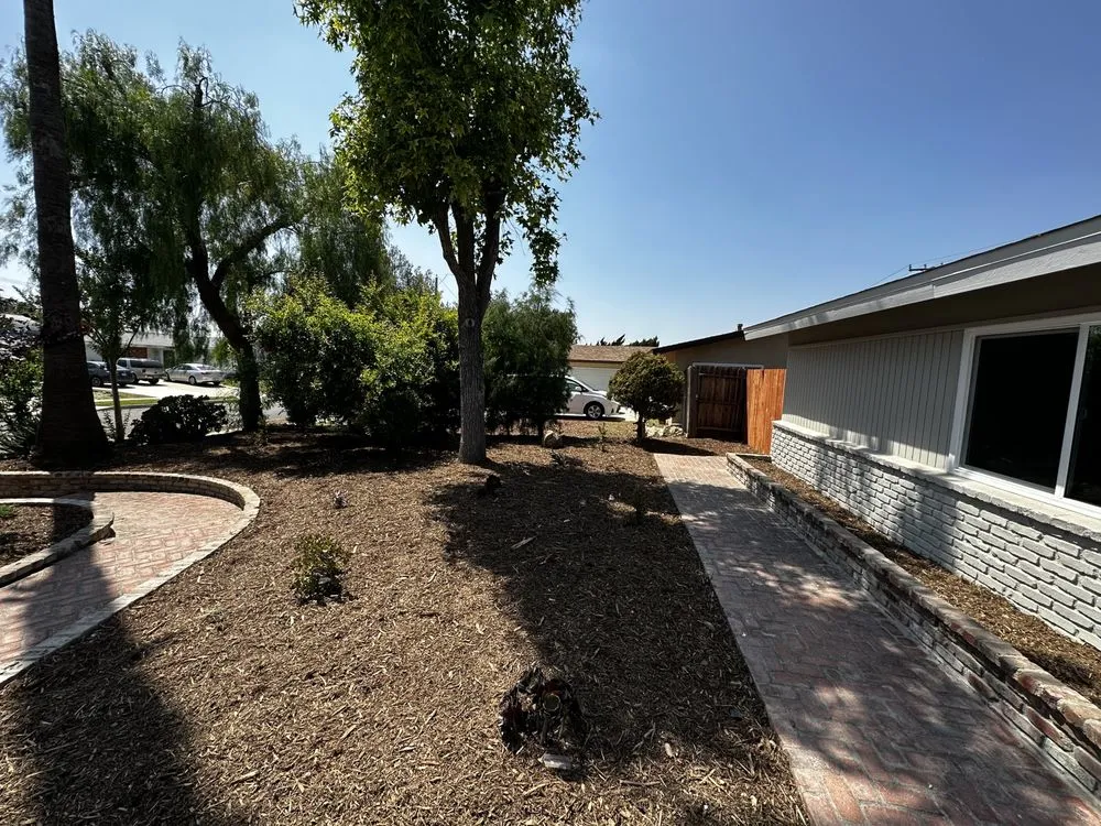 Professional yard maintenance in Pomona, CA - Almazan’s landscape