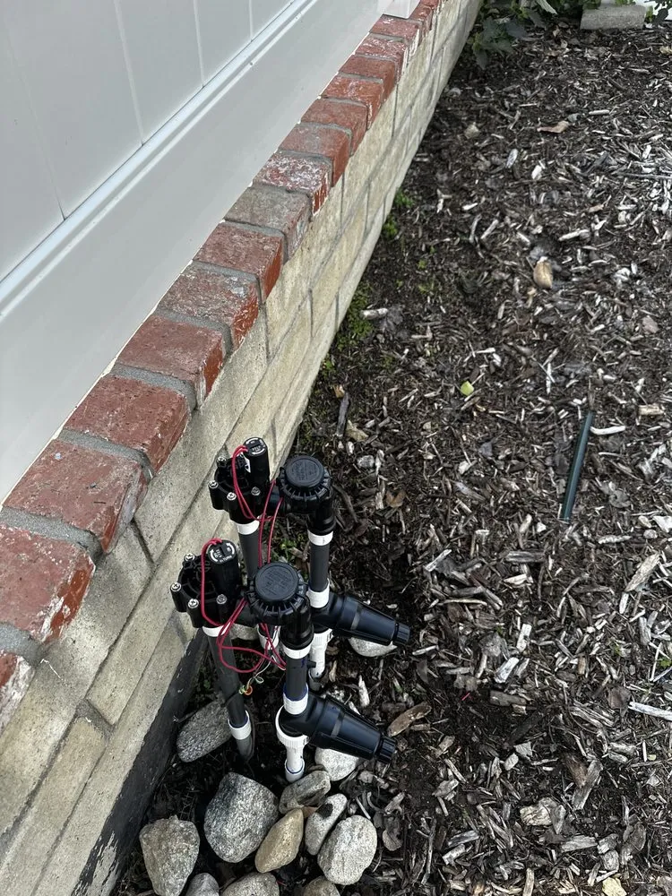 Custom yard cleanup service for outdoor upgrades across Pomona, CA - Almazan’s landscape