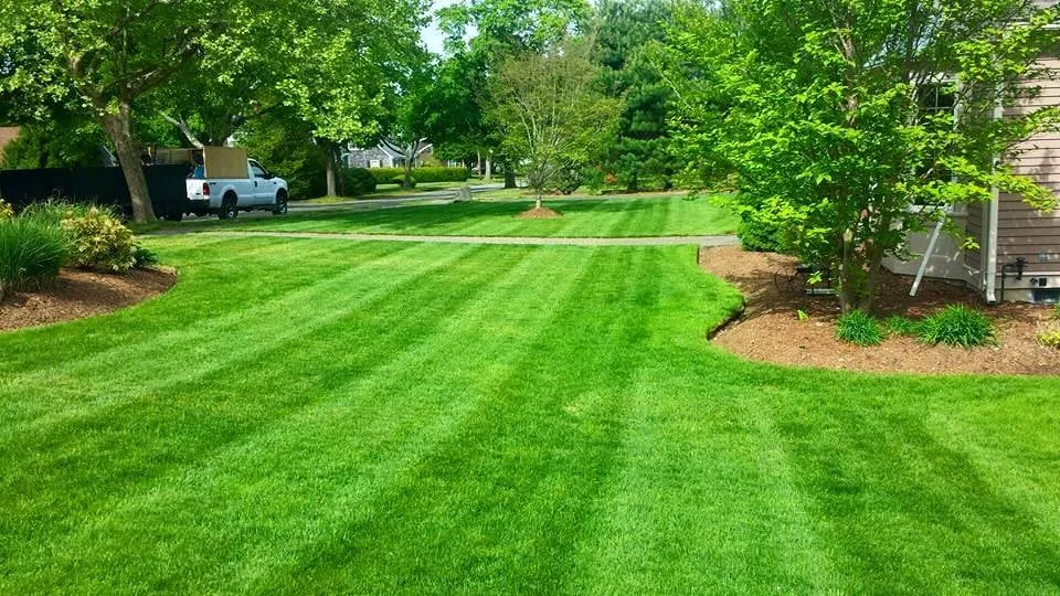 Affordable landscape design in East Bridgewater, MA - Almeida Landscape