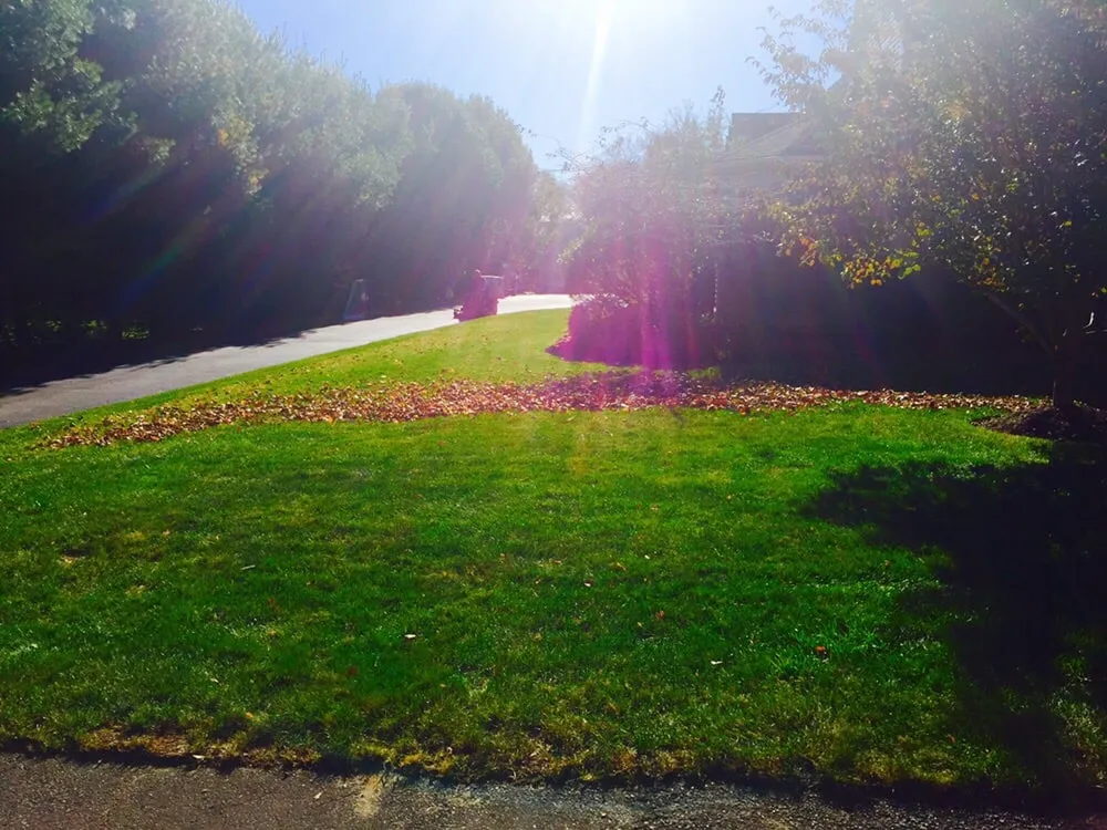 Custom residential landscaping in East Bridgewater, MA - Almeida Landscape