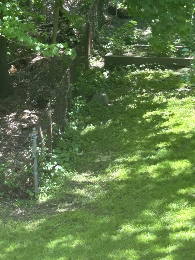 Affordable landscaping services for outdoor upgrades in Randolph, MA by Almeida Lawn Care Services