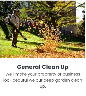 Reliable landscaping services experts serving Randolph, MA - Almeida Lawn Care Services