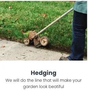 Reliable landscaping services in Randolph, MA by Almeida Lawn Care Services