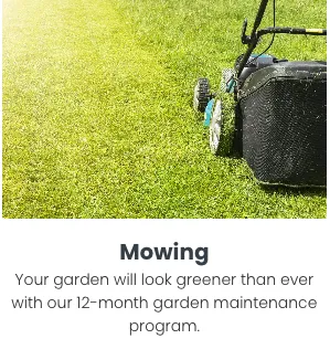 Trusted lawn care service experts serving Randolph, MA - Almeida Lawn Care Services