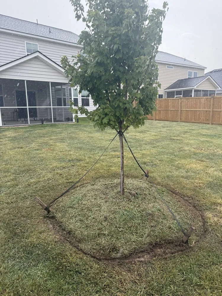 Top-rated yard cleanup service in Summerville, SC - Almeida Property Solutions