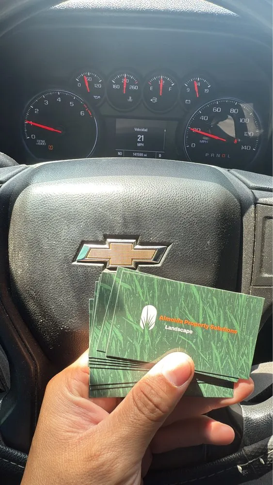 Professional landscaping services for year-round maintenance in Summerville, SC by Almeida Property Solutions