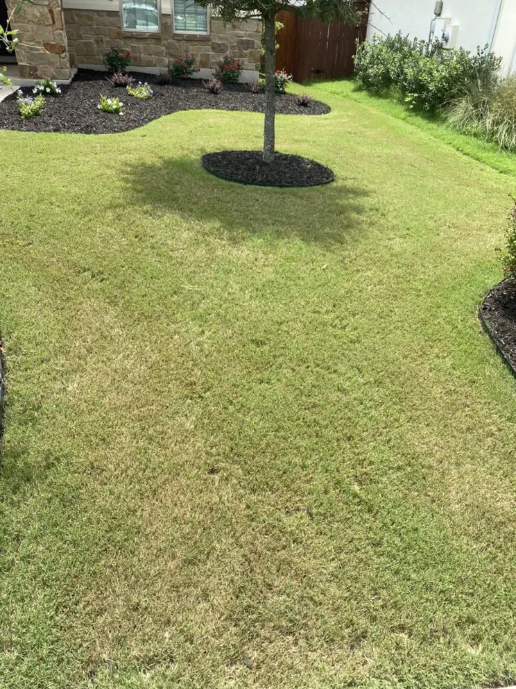 Affordable yard maintenance in Leander, TX - Almendarez Landscaping