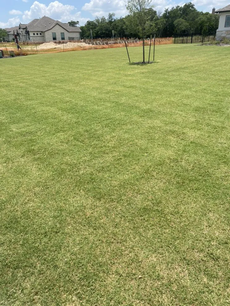 Reliable garden landscaping in Leander, TX by Almendarez Landscaping