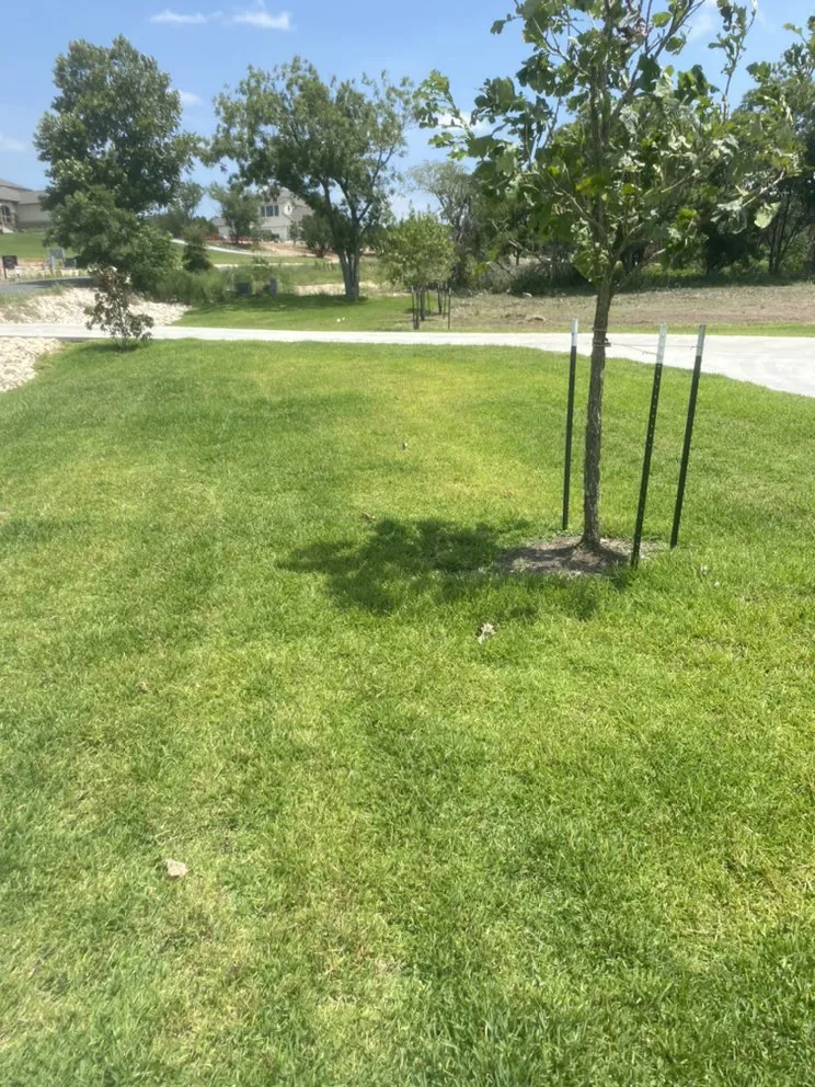 Top-rated outdoor landscaping in Leander, TX by Almendarez Landscaping