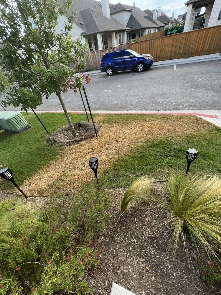 Local yard maintenance in Leander, TX - Almendarez Landscaping