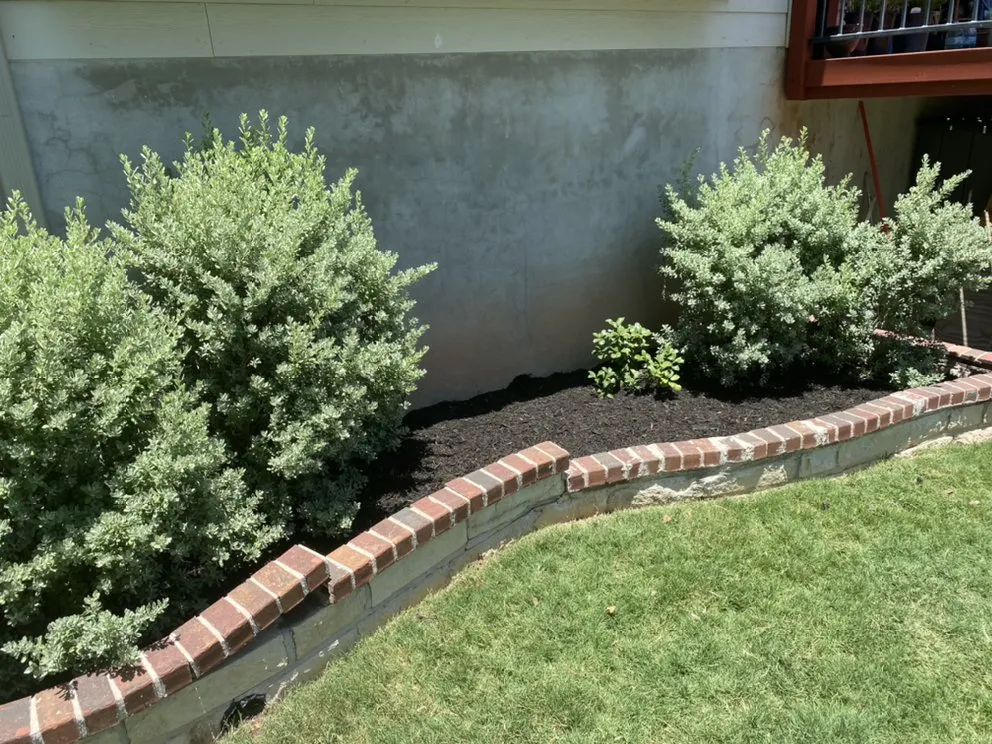 Reliable yard maintenance near you across Leander, TX - Almendarez Landscaping