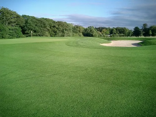 Expert landscape design for outdoor upgrades across Alexandria, VA - Almengor's Handyman & Landscaping