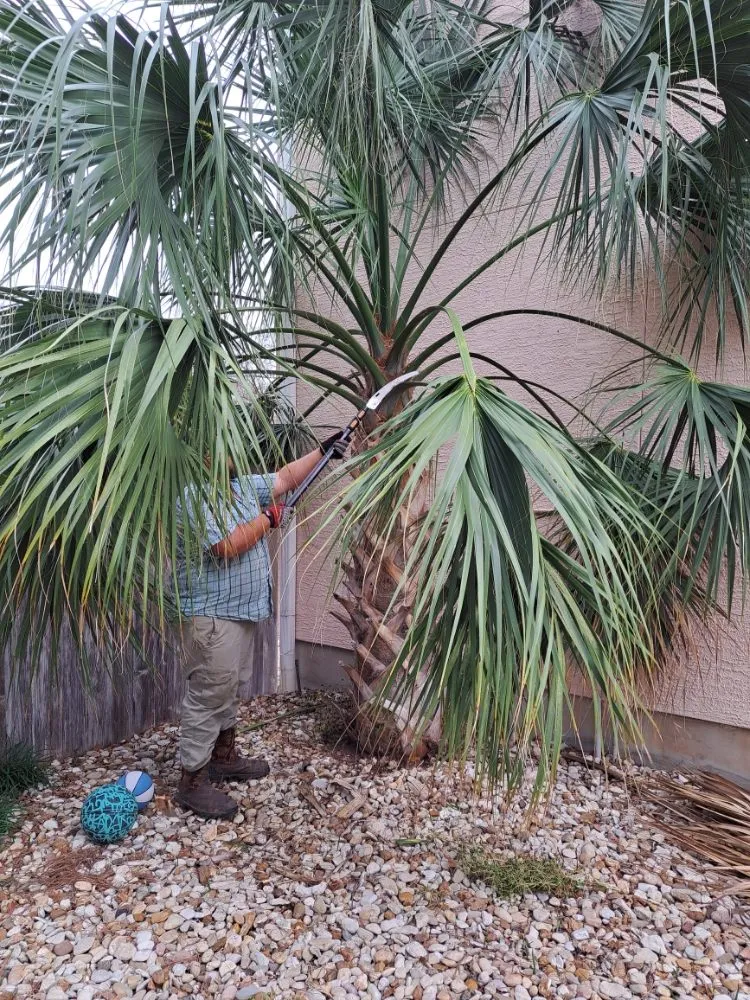 Professional residential landscaping experts serving Lexington, TX - Almighty Landscaping Service