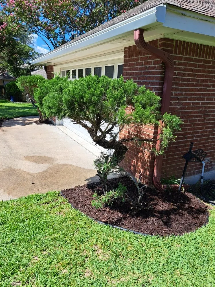 Reliable yard cleanup service in Lexington, TX - Almighty Landscaping Service