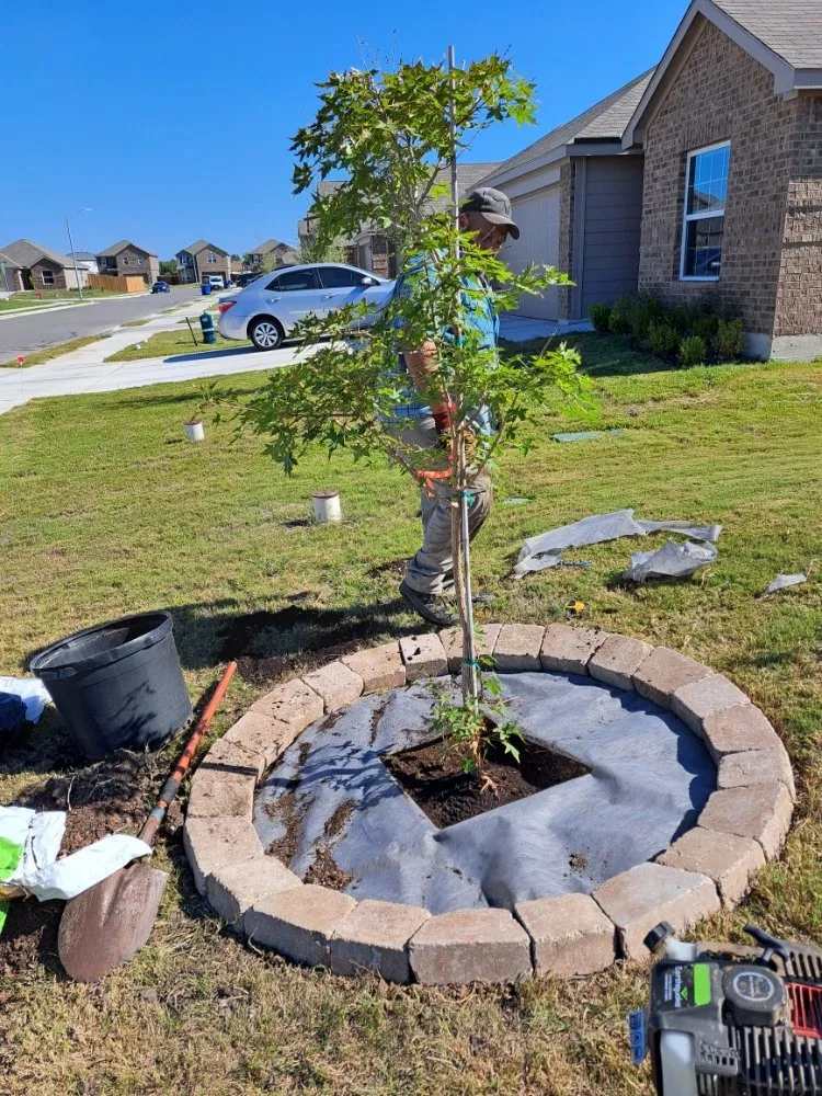 Custom yard maintenance in Lexington, TX - Almighty Landscaping Service