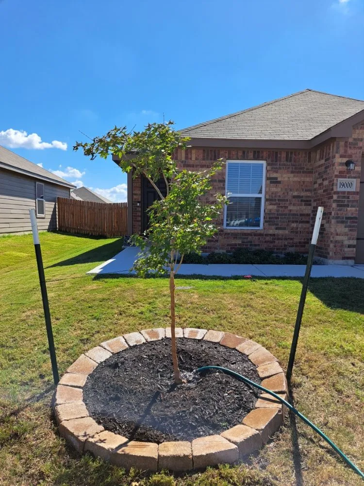 Trusted yard cleanup service experts serving Lexington, TX - Almighty Landscaping Service