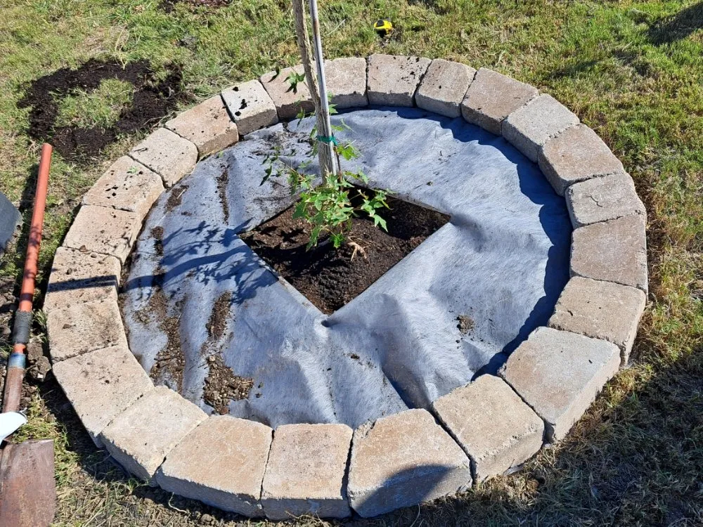 Top-rated outdoor landscaping in Lexington, TX by Almighty Landscaping Service