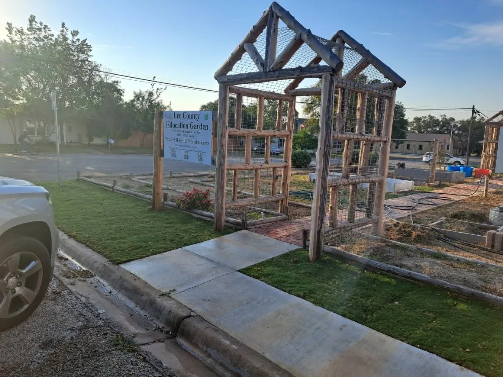 Trusted yard cleanup service in Lexington, TX - Almighty Landscaping Service