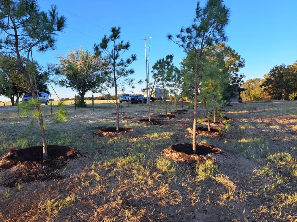 Professional yard maintenance experts serving Lexington, TX - Almighty Landscaping Service