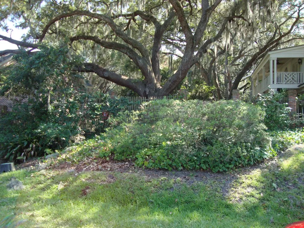 Local landscape installation near you across Saint Simons Island, GA - Almighty Tree Service