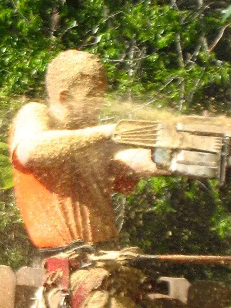 Trusted landscape design experts serving Saint Simons Island, GA - Almighty Tree Service