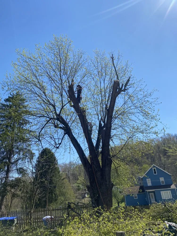 Reliable lawn mowing service for outdoor upgrades in Bridgeville, PA by Almond Branch Landscaping