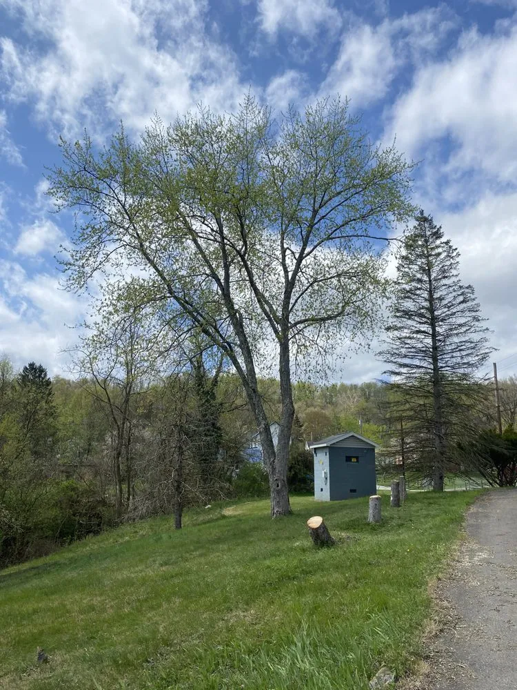 Expert landscape installation in Bridgeville, PA - Almond Branch Landscaping