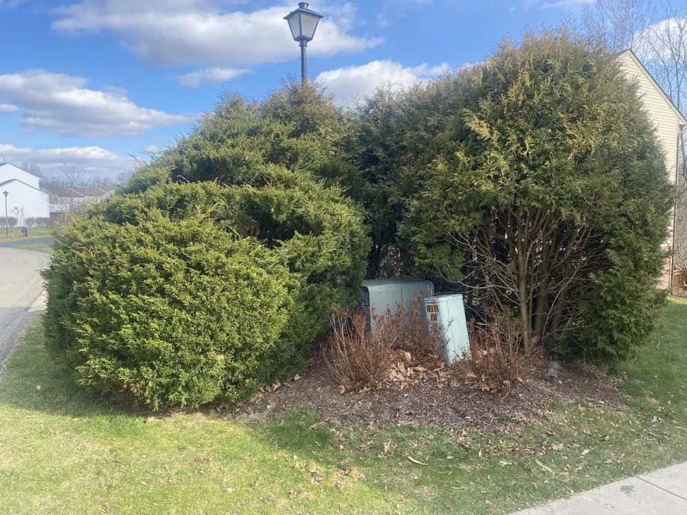 Reliable residential landscaping with custom design across Bridgeville, PA - Almond Branch Landscaping