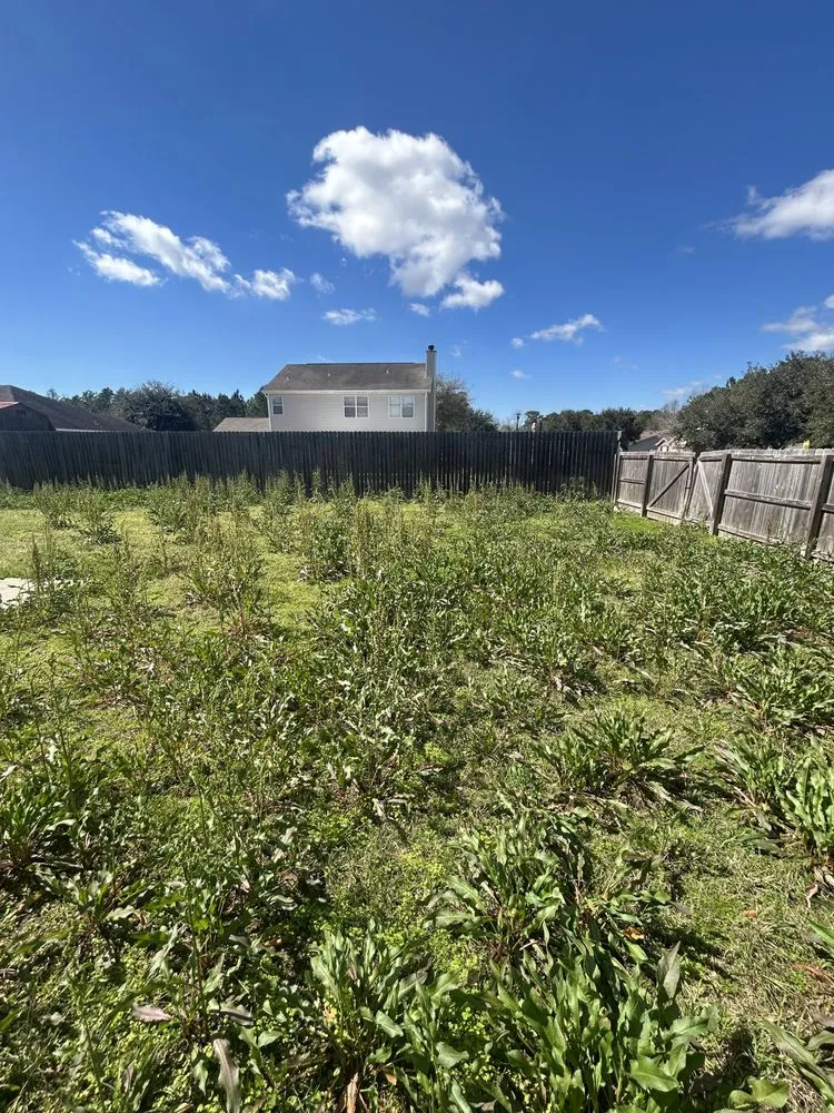 Expert lawn care service for year-round maintenance in Ocean Springs, MS by Almond’s Land Service