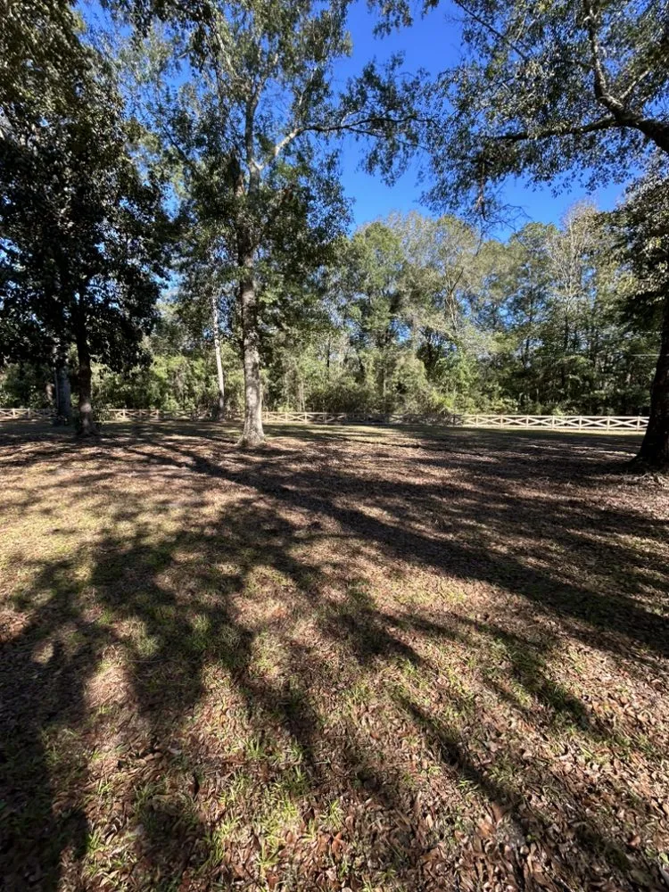 Top-rated landscaping services with custom design in Ocean Springs, MS by Almond’s Land Service