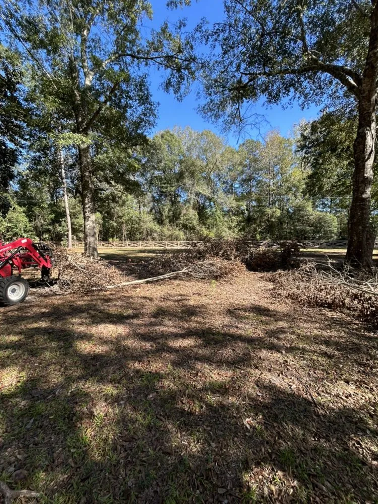 Affordable lawn mowing service for beautiful yards across Ocean Springs, MS - Almond’s Land Service