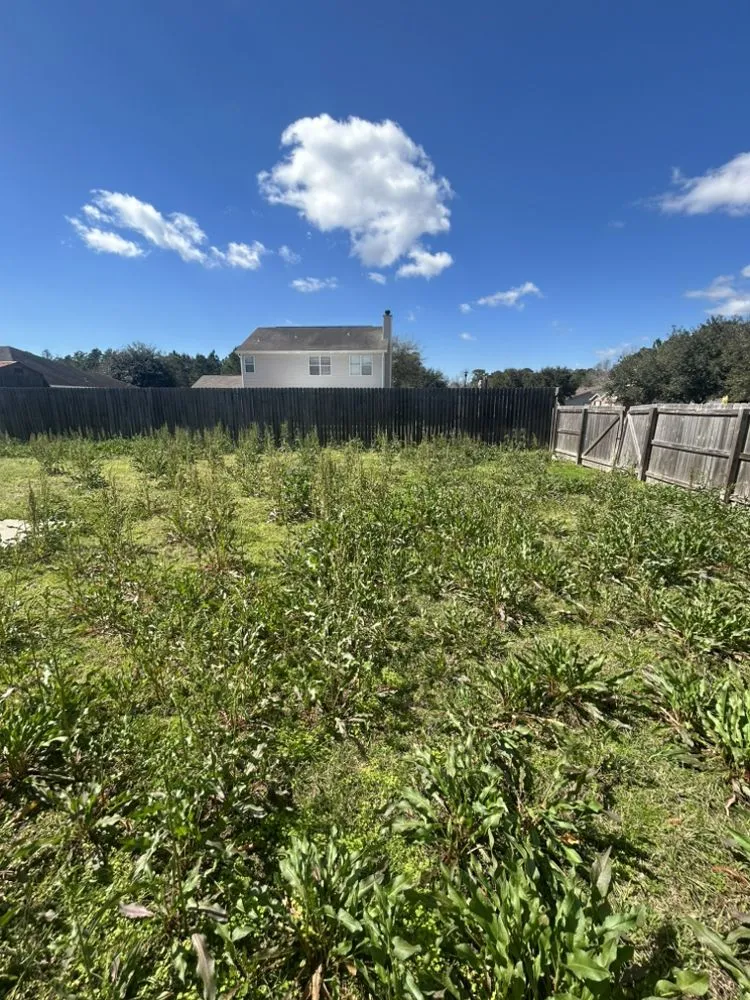 Affordable residential landscaping in Ocean Springs, MS by Almond’s Land Service