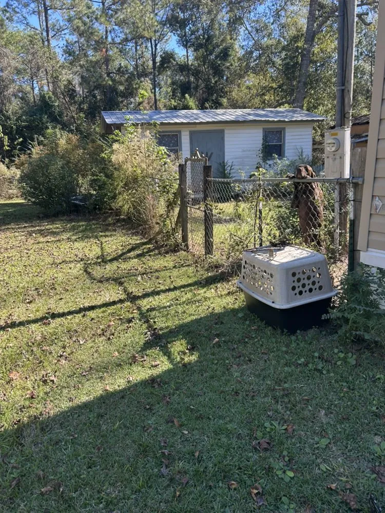 Reliable landscape installation for residential properties in Ocean Springs, MS by Almond’s Land Service