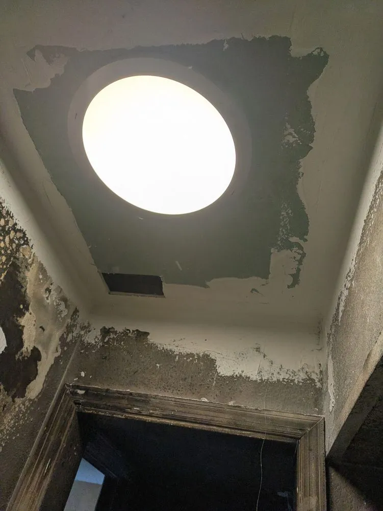 Professional garden landscaping with custom design across Longwood, FL - Almondtree Management