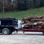 Expert yard cleanup service in Glen Rock, PA - Almony's Outdoors