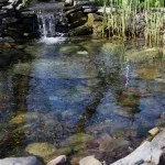 Reliable yard cleanup service in Glen Rock, PA - Almony's Outdoors