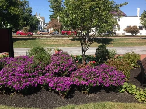 Custom lawn mowing service in Glen Rock, PA - Almony's Outdoors