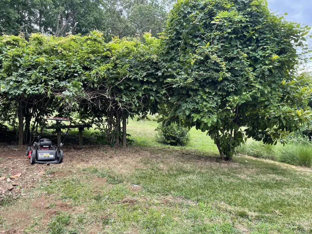 Expert outdoor landscaping for outdoor upgrades across Aquia Harbour, VA - Almo’s Lawn Care