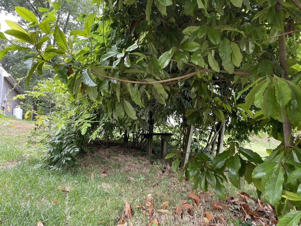 Local landscaping services experts serving Aquia Harbour, VA - Almo’s Lawn Care