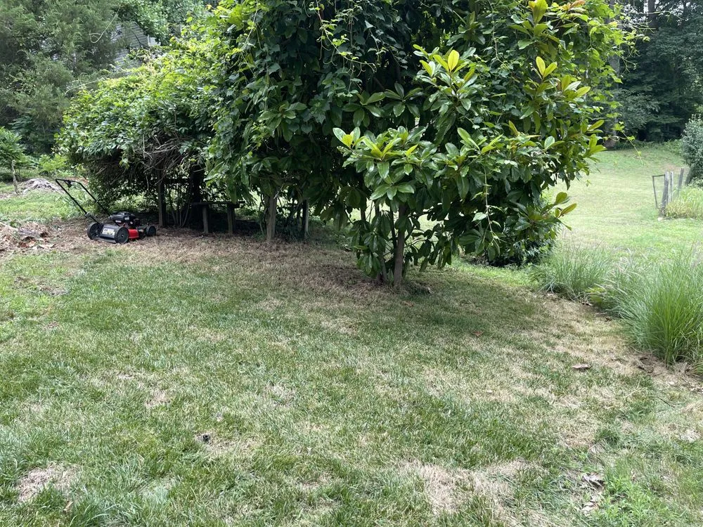 Professional residential landscaping for beautiful yards across Aquia Harbour, VA - Almo’s Lawn Care