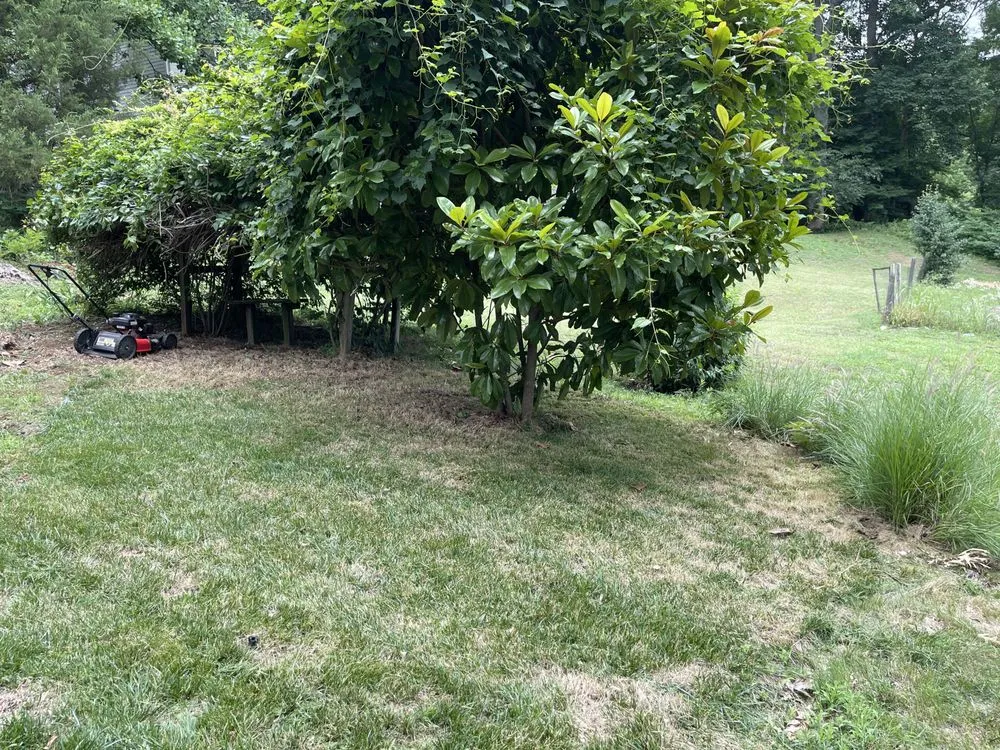 Professional garden landscaping in Aquia Harbour, VA by Almo’s Lawn Care