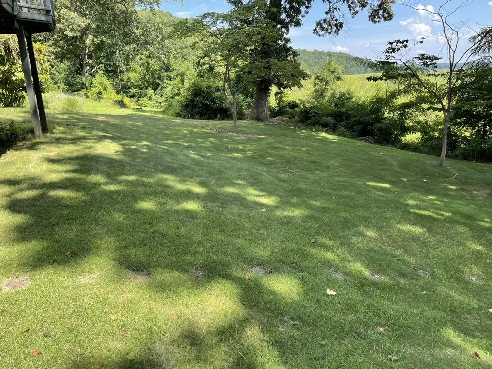 Top-rated yard cleanup service for homes across Aquia Harbour, VA - Almo’s Lawn Care