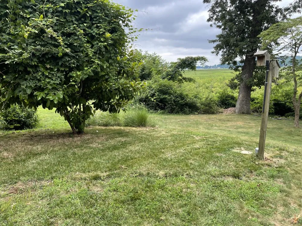 Local yard maintenance in Aquia Harbour, VA by Almo’s Lawn Care