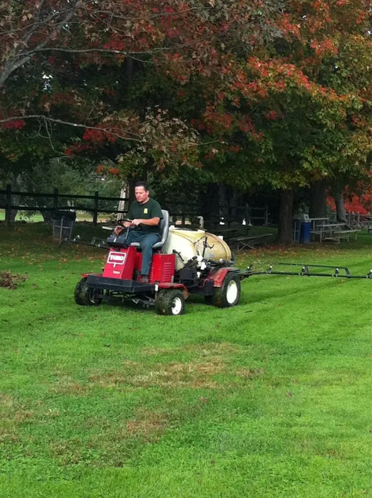 Affordable yard cleanup service near you in New Rochelle, NY by Almstead Tree & Shrub Care