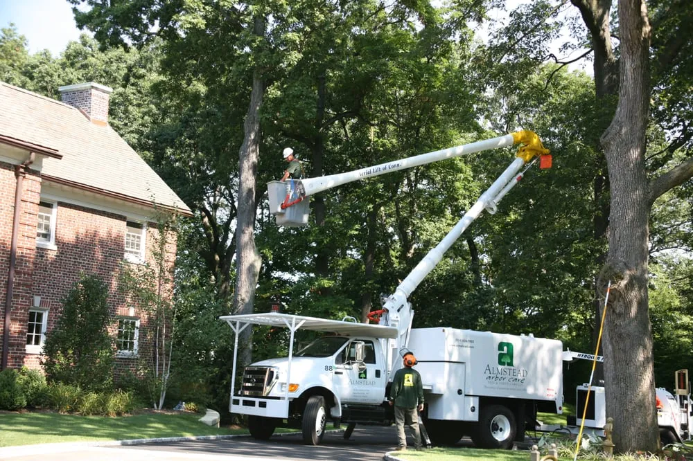 Local residential landscaping in New Rochelle, NY by Almstead Tree & Shrub Care