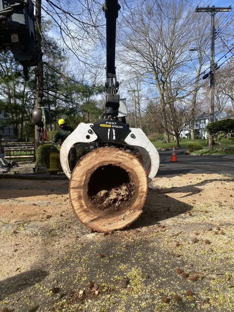 Reliable garden landscaping in New Rochelle, NY - Almstead Tree & Shrub Care