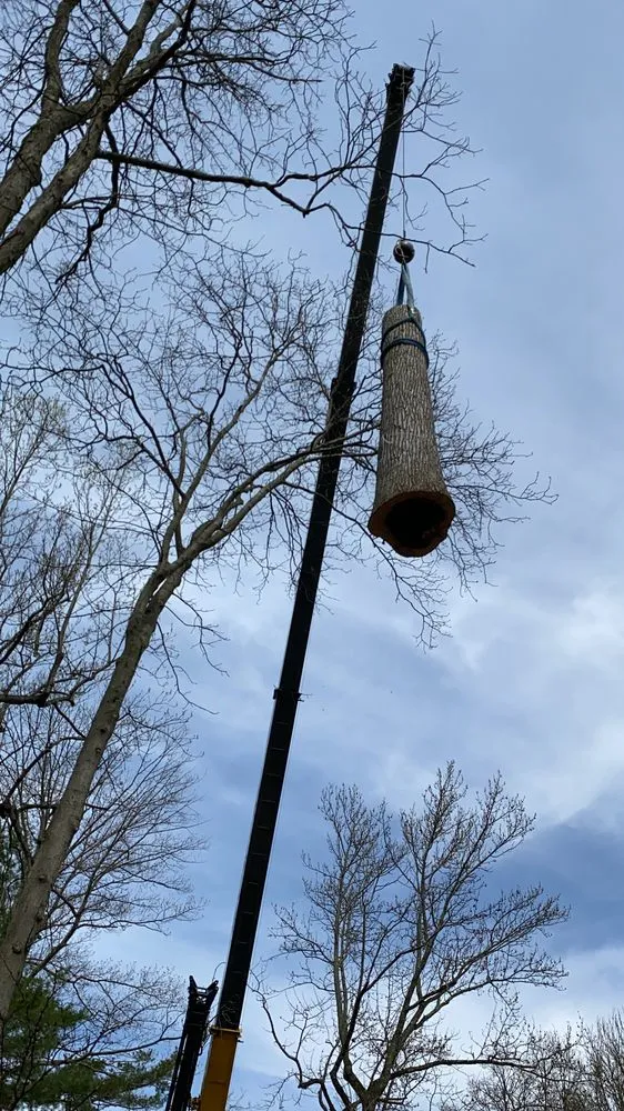 Reliable outdoor landscaping in New Rochelle, NY - Almstead Tree & Shrub Care