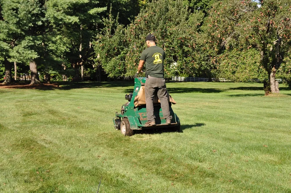 Affordable landscape design for homes across New Rochelle, NY - Almstead Tree & Shrub Care